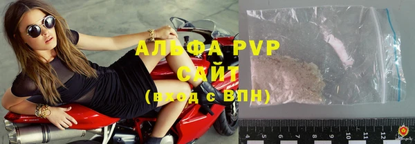 PSILOCYBIN Козельск