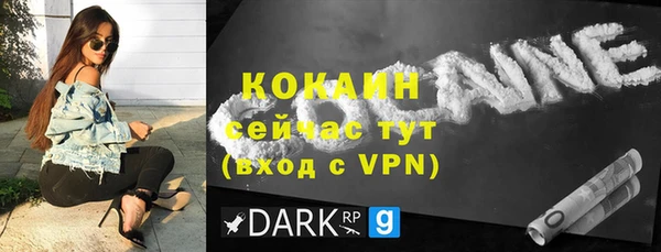 шишки Козловка
