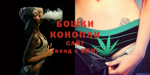 PSILOCYBIN Козельск