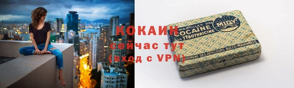 ПСИЛОЦИБИНОВЫЕ ГРИБЫ Коряжма