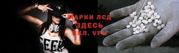 PSILOCYBIN Козельск