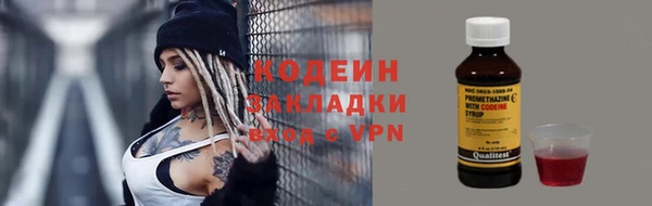 шишки Козловка