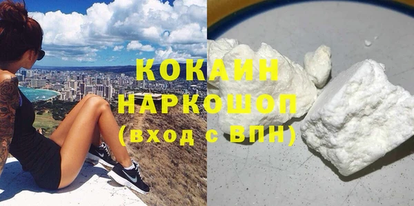 шишки Козловка