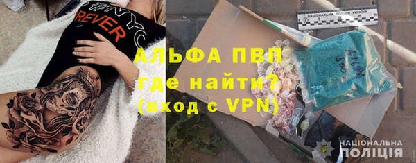 PSILOCYBIN Козельск