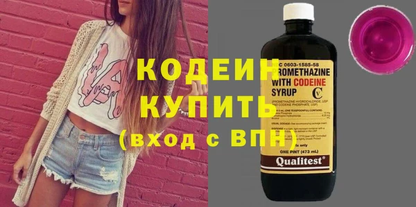 шишки Козловка