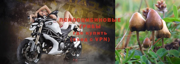 шишки Козловка