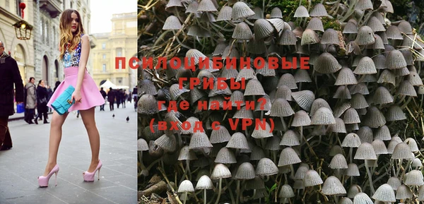 PSILOCYBIN Козельск